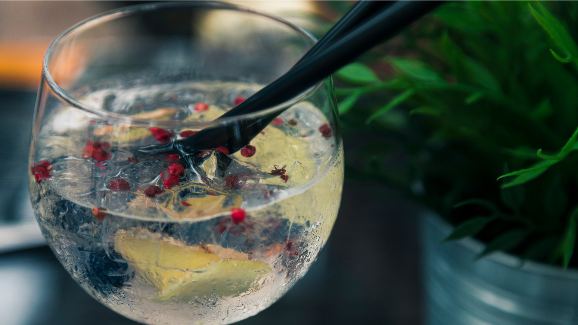 Gin & Tonic